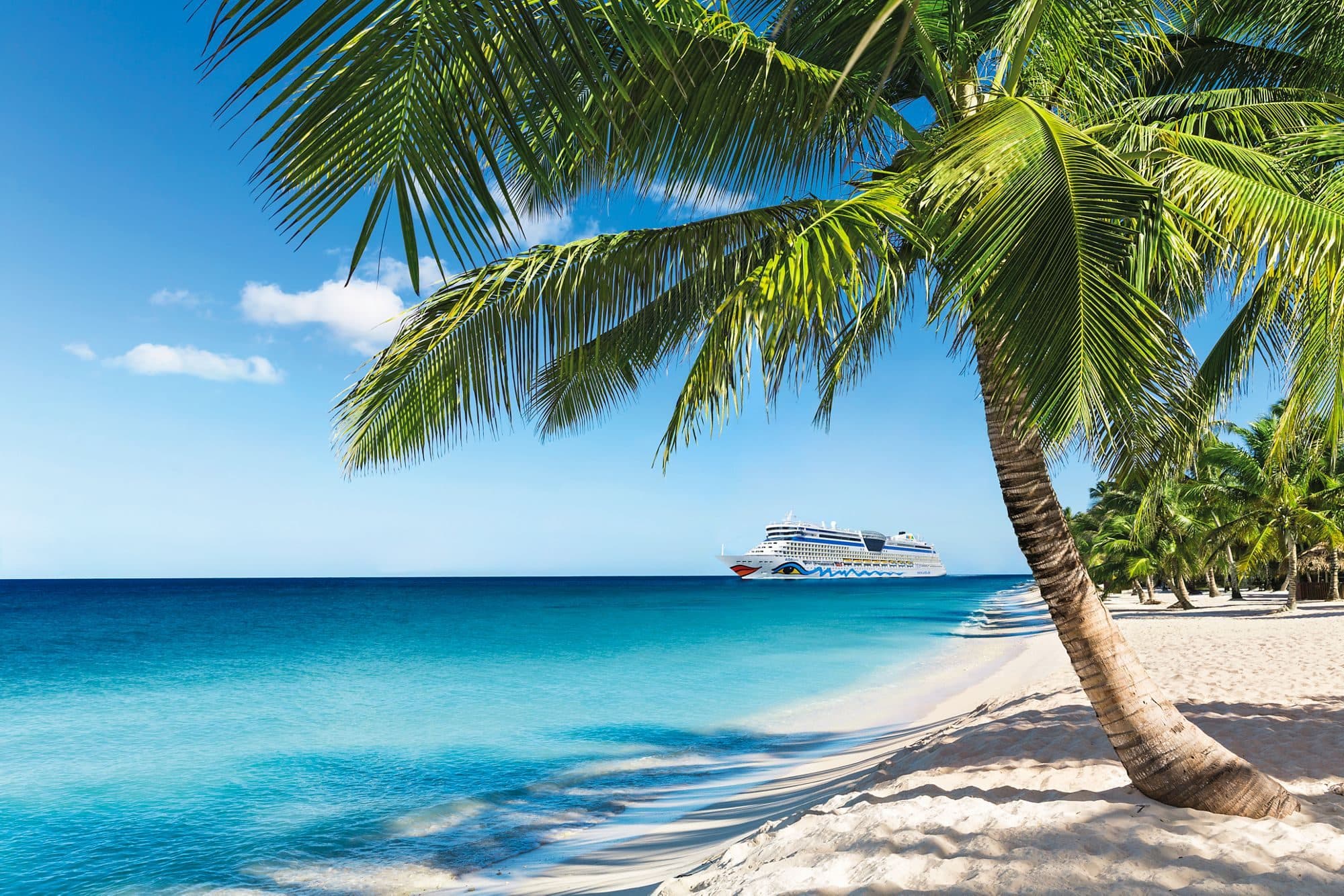 Kreuzfahrtschiff auf offener See